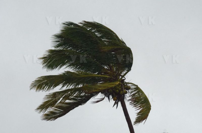 Le sud de La Reunion est impacte par la forte tempete tropicale Berguitta, qui amene vent et fortes precipitations. Le meteore passe actuellement au plus pres de l'ile et devrait commencer a s'eloigner en debut de soiree. The south of La Reunion is impacted by the strong tropical storm Berguitta, which brings wind and heavy precipitation. The meteore is currently passing close to the island and should begin to move early in the evening.