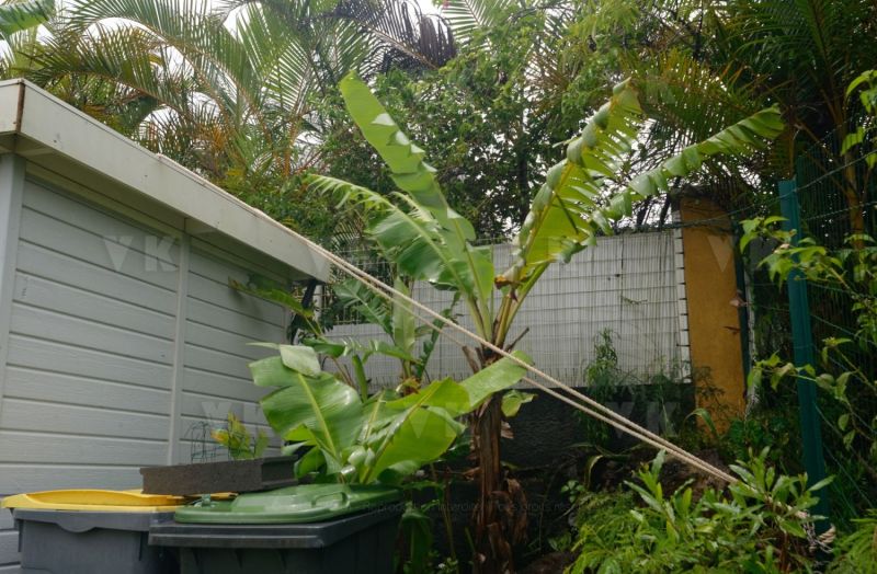 Avec deja de la pluie et du vent dans le sud, La Reunion se prepare a l'arrivee du cyclone Berguitta, prevu de passer a proximite immediate de l'ile jeudi. Already with rain and wind in the south, La Reunion is preparing for the arrival of cyclone Berguitta, scheduled to pass near the island Thursday.