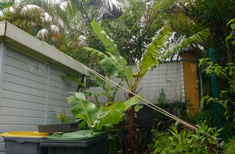 Avec deja de la pluie et du vent dans le sud, La Reunion se prepare a l'arrivee du cyclone Berguitta, prevu de passer a proximite immediate de l'ile jeudi. Already with rain and wind in the south, La Reunion is preparing for the arrival of cyclone Berguitta, scheduled to pass near the island Thursday.