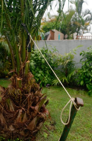 Avec deja de la pluie et du vent dans le sud, La Reunion se prepare a l'arrivee du cyclone Berguitta, prevu de passer a proximite immediate de l'ile jeudi. Already with rain and wind in the south, La Reunion is preparing for the arrival of cyclone Berguitta, scheduled to pass near the island Thursday.