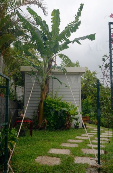 Avec deja de la pluie et du vent dans le sud, La Reunion se prepare a l'arrivee du cyclone Berguitta, prevu de passer a proximite immediate de l'ile jeudi. Already with rain and wind in the south, La Reunion is preparing for the arrival of cyclone Berguitta, scheduled to pass near the island Thursday.