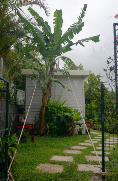 Avec deja de la pluie et du vent dans le sud, La Reunion se prepare a l'arrivee du cyclone Berguitta, prevu de passer a proximite immediate de l'ile jeudi. Already with rain and wind in the south, La Reunion is preparing for the arrival of cyclone Berguitta, scheduled to pass near the island Thursday.