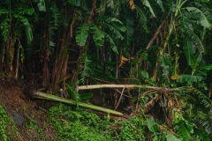 Le sud de La Reunion est impacte par la forte tempete tropicale Berguitta, qui amene vent et fortes precipitations. Le meteore passe actuellement au plus pres de l'ile et devrait commencer a s'eloigner en debut de soiree. The south of La Reunion is impacted by the strong tropical storm Berguitta, which brings wind and heavy precipitation. The meteore is currently passing close to the island and should begin to move early in the evening.