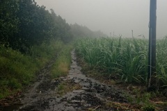 Le sud de La Reunion est impacte par la forte tempete tropicale Berguitta, qui amene vent et fortes precipitations. Le meteore passe actuellement au plus pres de l'ile et devrait commencer a s'eloigner en debut de soiree. The south of La Reunion is impacted by the strong tropical storm Berguitta, which brings wind and heavy precipitation. The meteore is currently passing close to the island and should begin to move early in the evening.