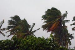 Le sud de La Reunion est impacte par la forte tempete tropicale Berguitta, qui amene vent et fortes precipitations. Le meteore passe actuellement au plus pres de l'ile et devrait commencer a s'eloigner en debut de soiree. The south of La Reunion is impacted by the strong tropical storm Berguitta, which brings wind and heavy precipitation. The meteore is currently passing close to the island and should begin to move early in the evening.