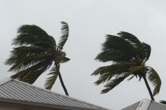 Le sud de La Reunion est impacte par la forte tempete tropicale Berguitta, qui amene vent et fortes precipitations. Le meteore passe actuellement au plus pres de l'ile et devrait commencer a s'eloigner en debut de soiree. The south of La Reunion is impacted by the strong tropical storm Berguitta, which brings wind and heavy precipitation. The meteore is currently passing close to the island and should begin to move early in the evening.