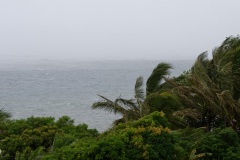 Avec deja de la pluie et du vent dans le sud, La Reunion se prepare a l'arrivee du cyclone Berguitta, prevu de passer a proximite immediate de l'ile jeudi. Already with rain and wind in the south, La Reunion is preparing for the arrival of cyclone Berguitta, scheduled to pass near the island Thursday.