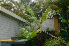 Avec deja de la pluie et du vent dans le sud, La Reunion se prepare a l'arrivee du cyclone Berguitta, prevu de passer a proximite immediate de l'ile jeudi. Already with rain and wind in the south, La Reunion is preparing for the arrival of cyclone Berguitta, scheduled to pass near the island Thursday.