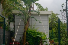 Avec deja de la pluie et du vent dans le sud, La Reunion se prepare a l'arrivee du cyclone Berguitta, prevu de passer a proximite immediate de l'ile jeudi. Already with rain and wind in the south, La Reunion is preparing for the arrival of cyclone Berguitta, scheduled to pass near the island Thursday.