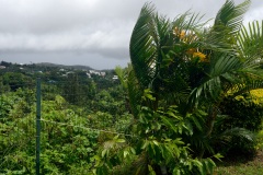 Avec deja de la pluie et du vent dans le sud, La Reunion se prepare a l'arrivee du cyclone Berguitta, prevu de passer a proximite immediate de l'ile jeudi. Already with rain and wind in the south, La Reunion is preparing for the arrival of cyclone Berguitta, scheduled to pass near the island Thursday.