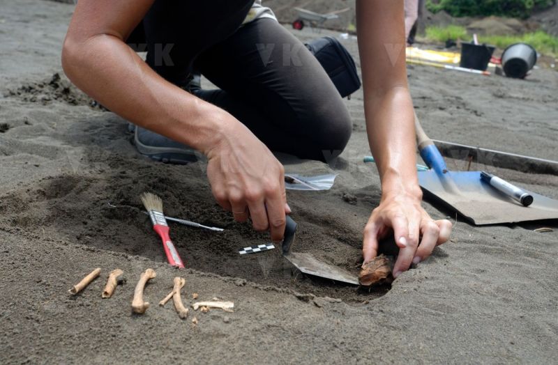 Fouilles archeologiques sur un site d'habitat du XVIIIe siecle a Saint-Paul, route des Premiers Français