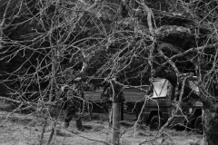 Militaires forces speciales et commandos