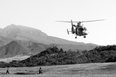 Militaires forces speciales et commandos