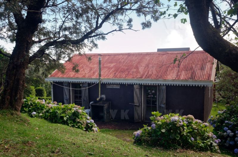 Gite du volcan a La Reunion
