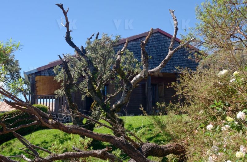 Gite du volcan a La Reunion