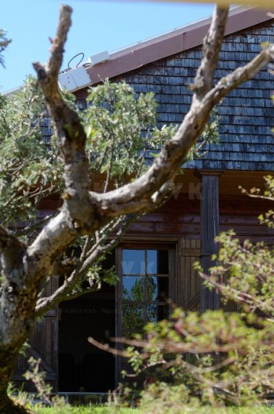 Gite du volcan a La Reunion