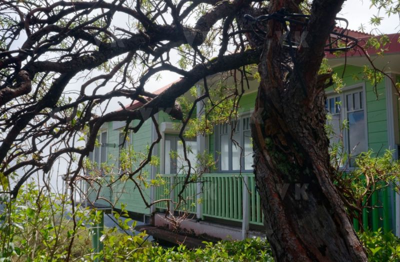 Gite du volcan a La Reunion