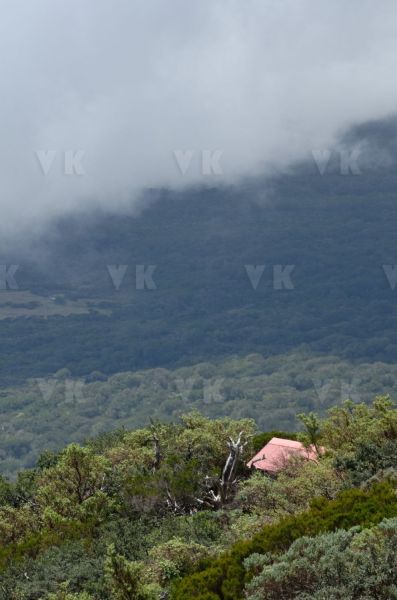 Gite du volcan a La Reunion