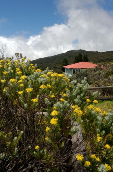 Gite du volcan a La Reunion