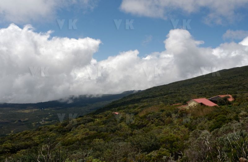 Gite du volcan a La Reunion