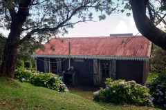 Gite du volcan a La Reunion