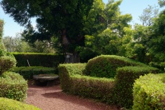 Gite du volcan a La Reunion
