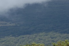 Gite du volcan a La Reunion