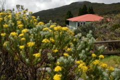 Gite du volcan a La Reunion