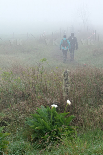 Ultra-trail Le Grand Raid 2014
