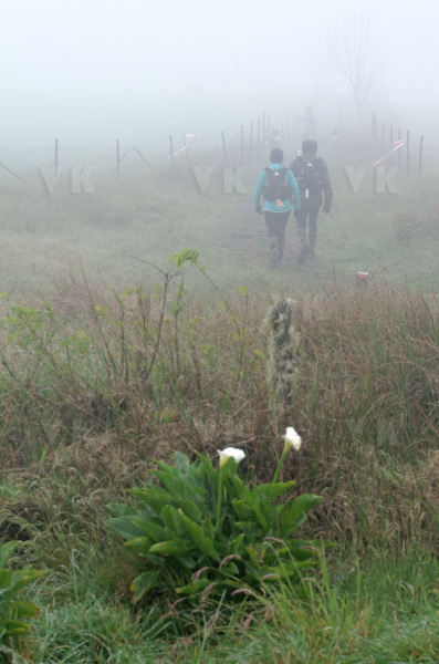 Ultra-trail Le Grand Raid 2014