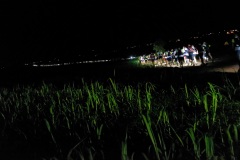 Ultra-trail Le Grand Raid 2014