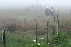 Ultra-trail Le Grand Raid 2014