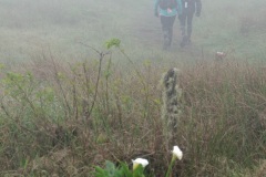 Ultra-trail Le Grand Raid 2014