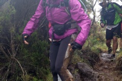 Ultra-trail Le Grand Raid 2014