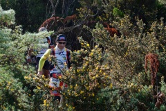 Grand Raid 2016