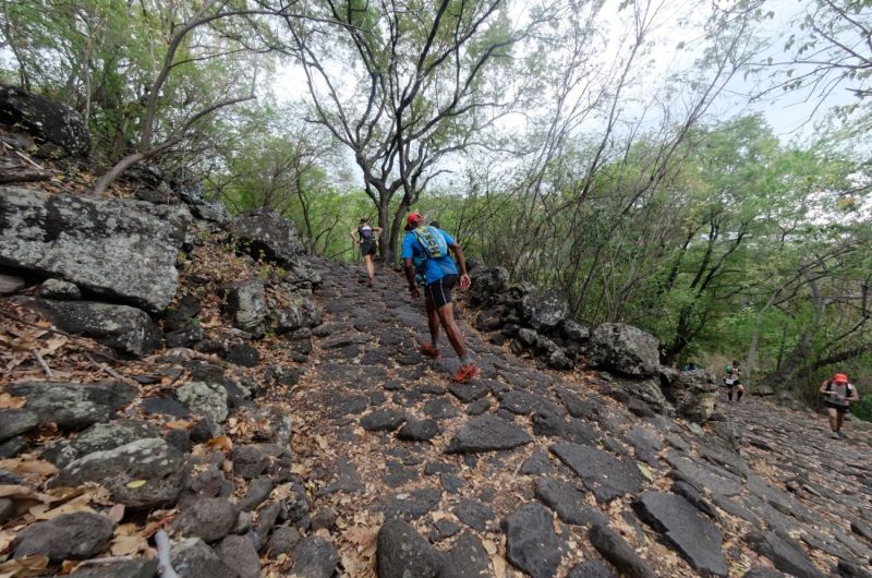 Les traileurs de la Mascareignes, course du Grand Raid, sur le chemin des Anglais qui monte jusqu'au Colorado, derniere etape avant l'arrivee. Mascarene trailers, race of the Grand Raid, on the "path of the English" who goes up to Colorado, last stage before the arrival.