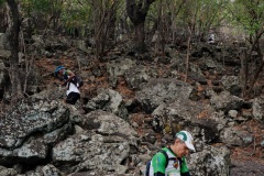 Les traileurs de la Mascareignes, course du Grand Raid, sur le chemin des Anglais qui monte jusqu'au Colorado, derniere etape avant l'arrivee. Mascarene trailers, race of the Grand Raid, on the "path of the English" who goes up to Colorado, last stage before the arrival.