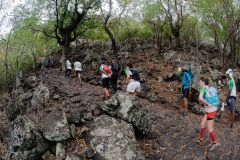 Les traileurs de la Mascareignes, course du Grand Raid, sur le chemin des Anglais qui monte jusqu'au Colorado, derniere etape avant l'arrivee. Mascarene trailers, race of the Grand Raid, on the "path of the English" who goes up to Colorado, last stage before the arrival.
