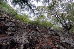 Les traileurs de la Mascareignes, course du Grand Raid, sur le chemin des Anglais qui monte jusqu'au Colorado, derniere etape avant l'arrivee. Mascarene trailers, race of the Grand Raid, on the "path of the English" who goes up to Colorado, last stage before the arrival.