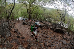 Les traileurs de la Mascareignes, course du Grand Raid, sur le chemin des Anglais qui monte jusqu'au Colorado, derniere etape avant l'arrivee. Mascarene trailers, race of the Grand Raid, on the "path of the English" who goes up to Colorado, last stage before the arrival.