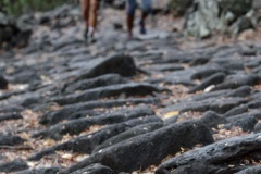 Les traileurs de la Mascareignes, course du Grand Raid, sur le chemin des Anglais qui monte jusqu'au Colorado, derniere etape avant l'arrivee. Mascarene trailers, race of the Grand Raid, on the "path of the English" who goes up to Colorado, last stage before the arrival.