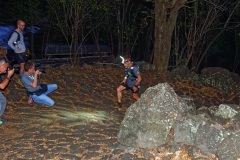 Les traileurs de la Mascareignes, course du Grand Raid, sur le chemin des Anglais qui monte jusqu'au Colorado, derniere etape avant l'arrivee. Ici Benoit Girondel, en tete de la Diagonale des Fous avec une demi-heure d'avance. Mascarene trailers, race of the Grand Raid, on the "path of the English" who goes up to Colorado, last stage before the arrival. Here Benoit Girondel, at the head of the Diagonale des Fous with half an hour ahead.