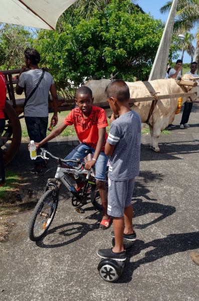 Fête du Dipavali 2016 à Saint-André