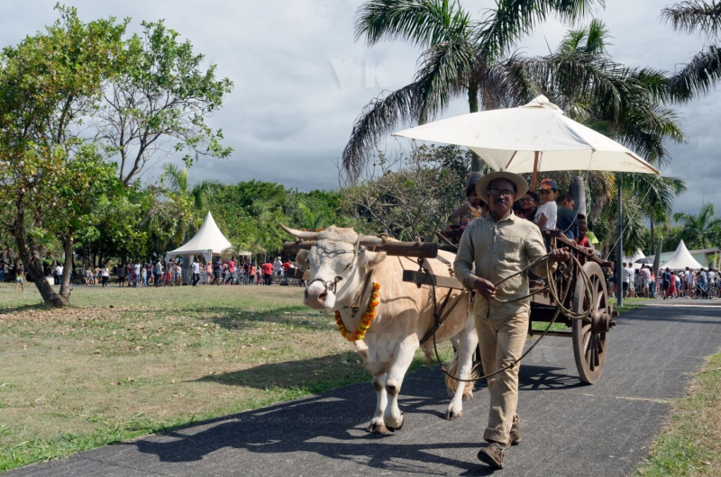 Fête du Dipavali 2016 à Saint-André