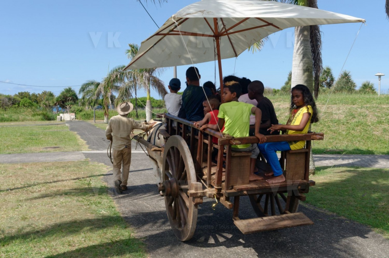 Fête du Dipavali 2016 à Saint-André