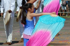 Fête du Dipavali 2016 à Saint-André