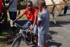 Fête du Dipavali 2016 à Saint-André