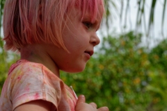 Fête du Dipavali 2016 à Saint-André