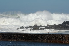 Houle australe