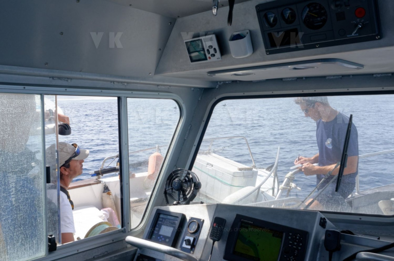 Immersion avec la brigade nautique de la gendarmerie de La Reunion